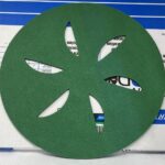 Sand Dollar 16" Green 94117